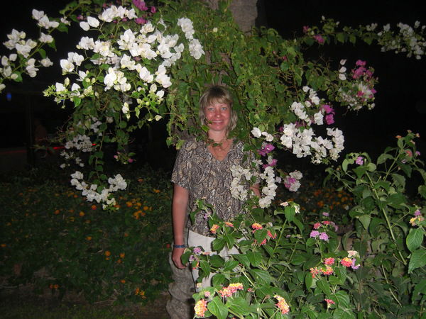 Наталья Морковина