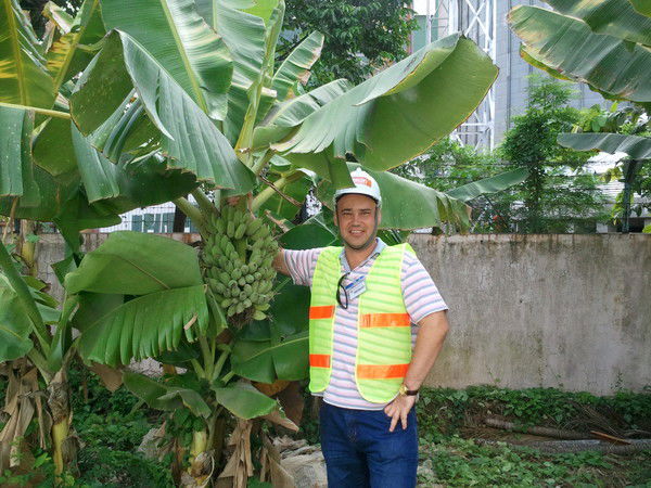 Александр Мазуров