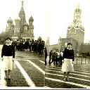 Елена Войшнис