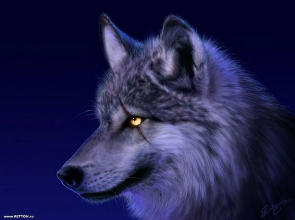 Alexey Vladimirovich