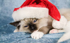 Супер:) Кристинка***:)