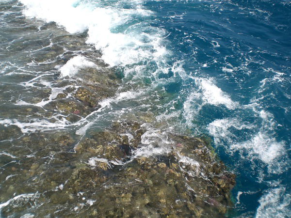 Ангелина Ангелина