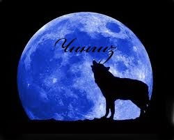 Chingiz Bekmyxambetov