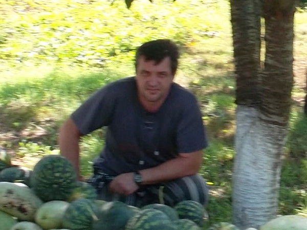 Владимир Бибик