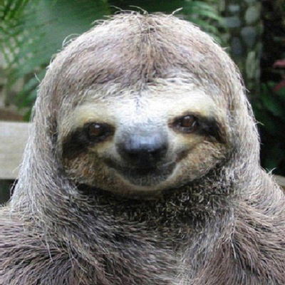 Максим Шахматов