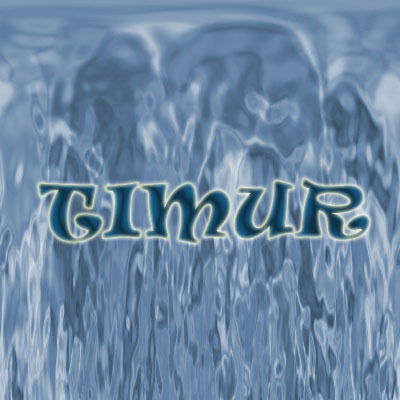 Тимур Вильданов