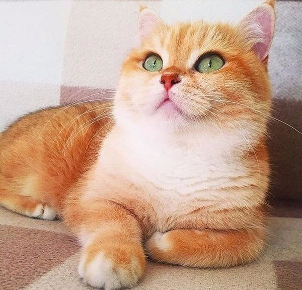 Марина Попова