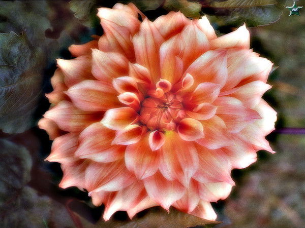 Марина Багаутдинова