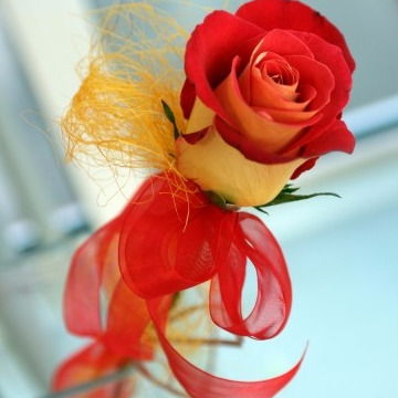 Людмила Яковлева