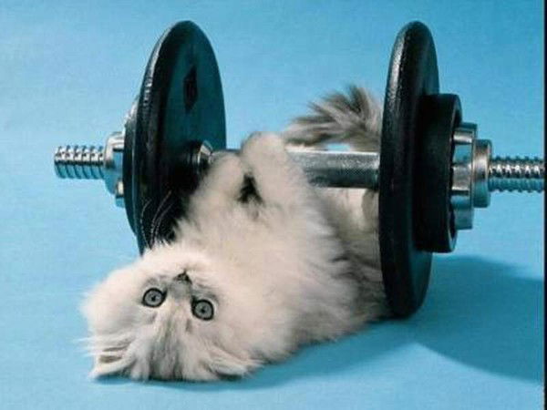 Наталья Серякова