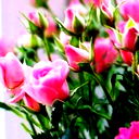 Валентина Кравченко