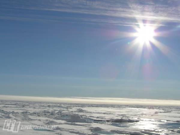 Лилия Шагиахметова