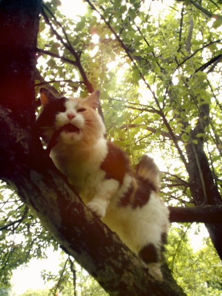 Маша Шестакова