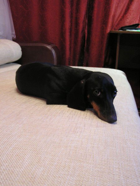 Олеся Никитина