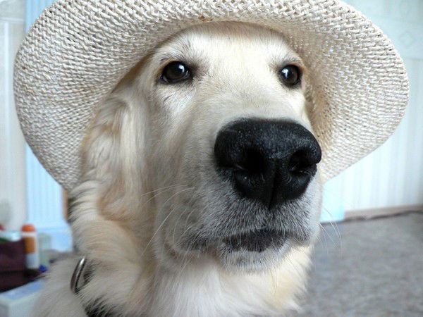 Konstantin Zakablukin