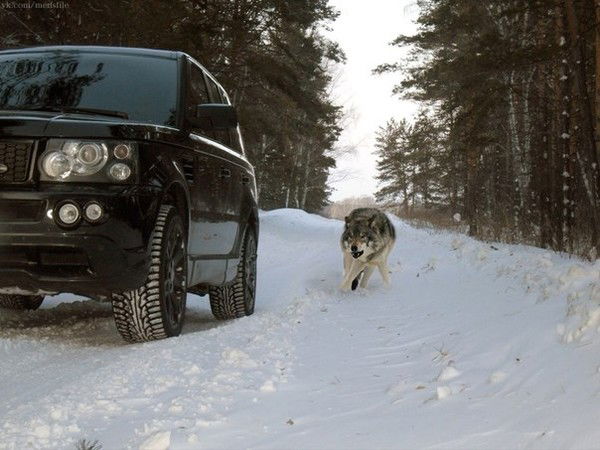 Дмитрий Пасенов