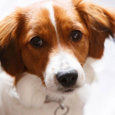 Лера Кудрина