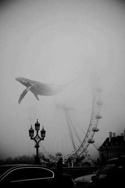 Александр Москвитин