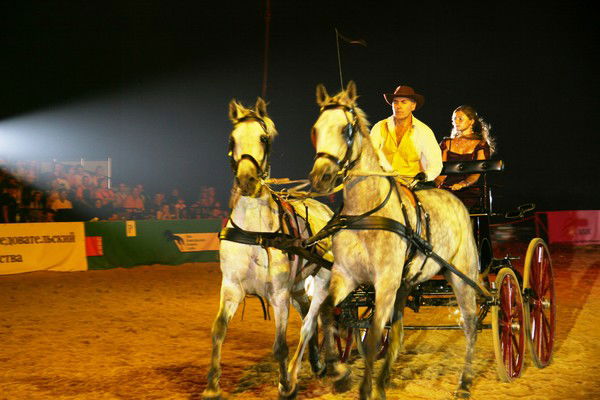 Николай Гиржов