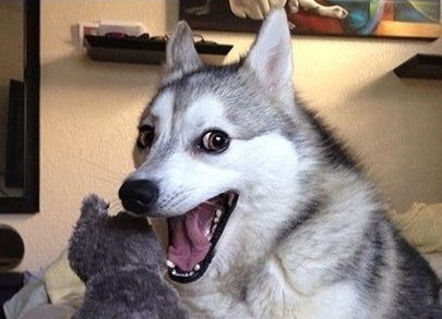 Юлия Дятлова