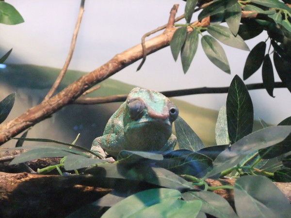 Олег Кудряшов