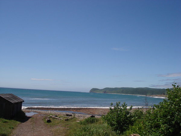 Альгис Кузмицкас