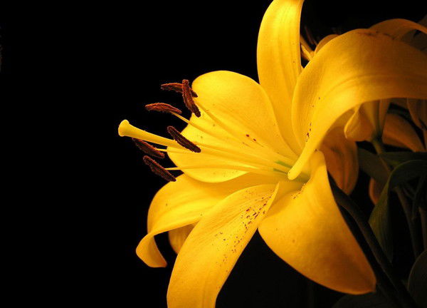 Екатерина Мосина