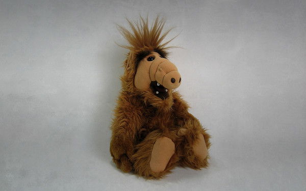 Анна Викторовна