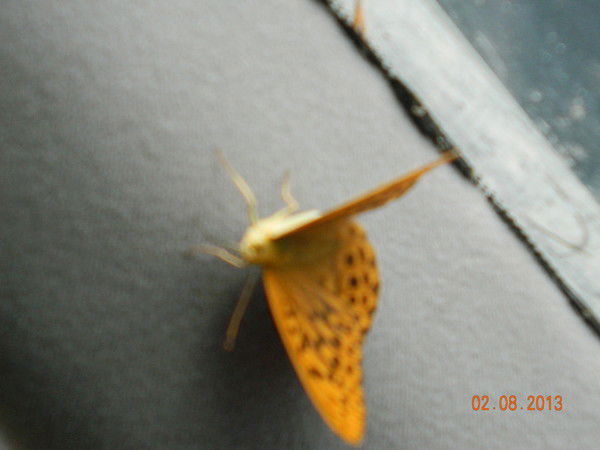 Евгений Цукерман