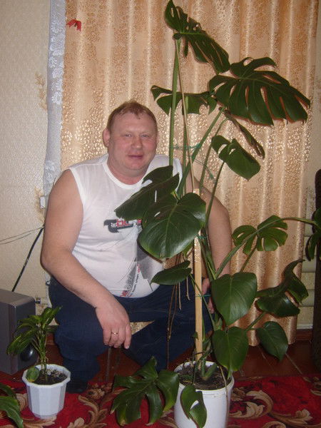 Александр Мокрушников