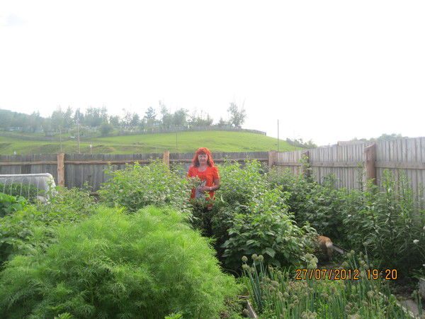 Любовь Войлошникова