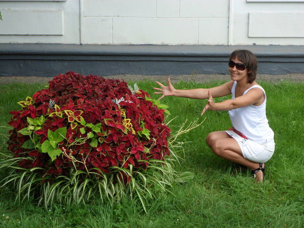 Евгения Балакина