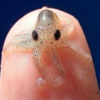 Дмитрий Михайлов