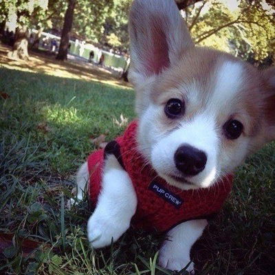 Милена Ведерникова