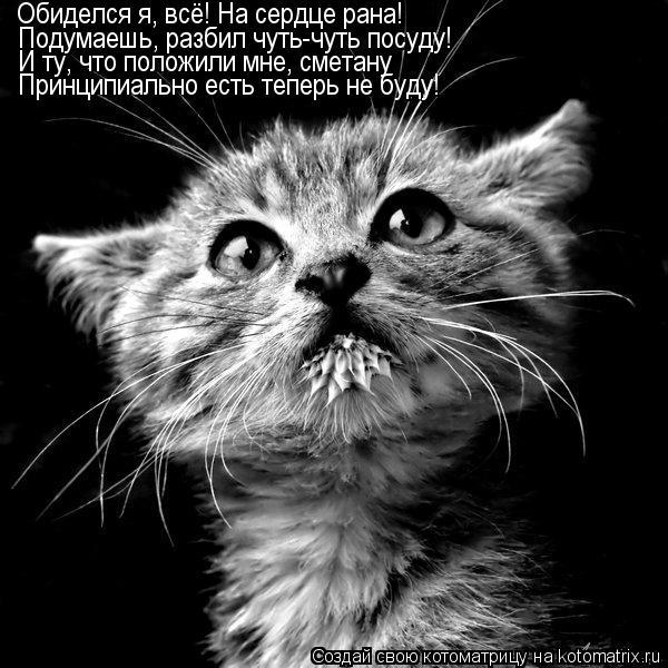 Дмитрий Королевич