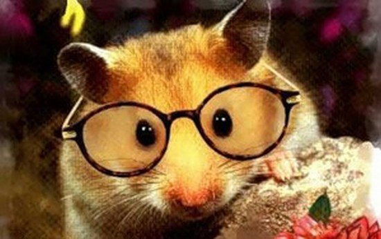 Канайя Марьям