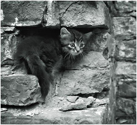 Настя Похляпова