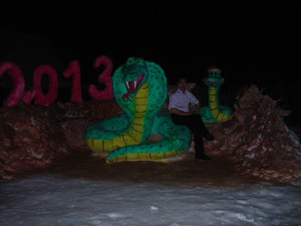 Владимир Шестаков