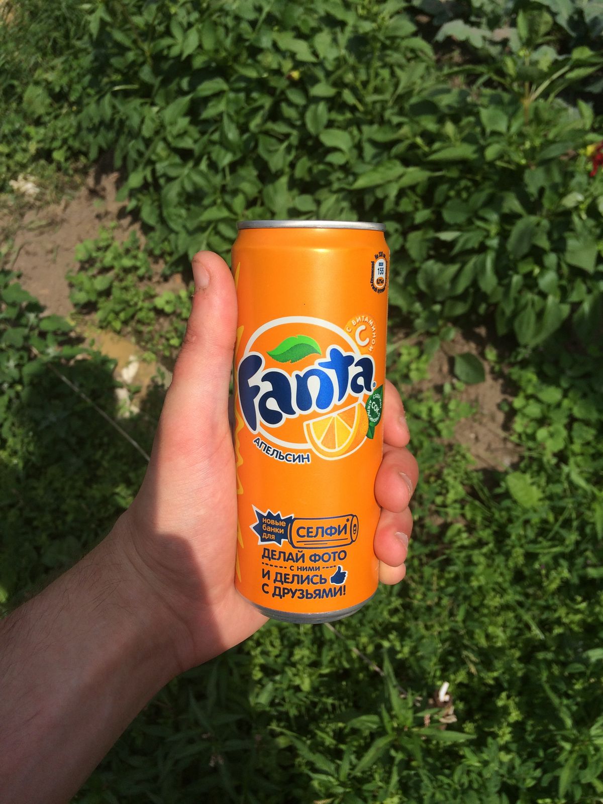 Алексей Лазарев