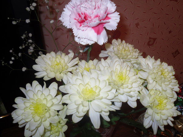 Светлана Васенькина