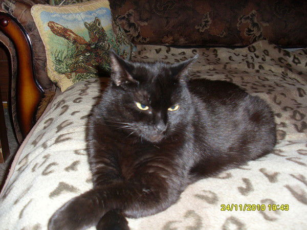 Татьяна Сущенина