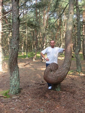 Борис Красногоров