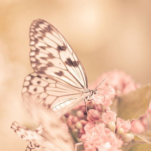 Кристина Малинова