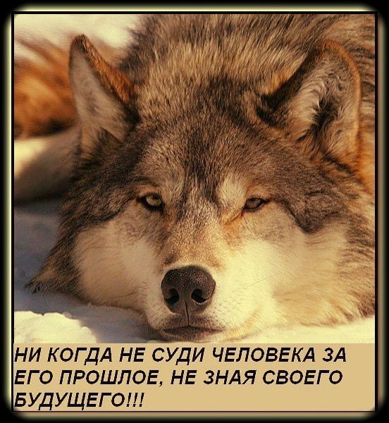 Даньчок ))))))