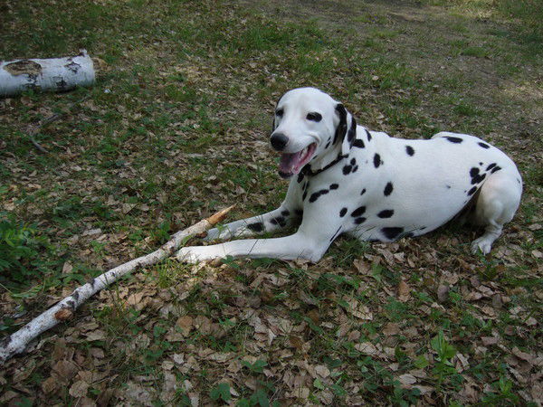 Лидия Рыльникова