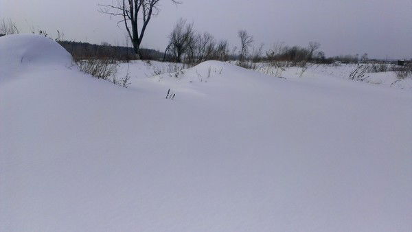 Владимир Терехов