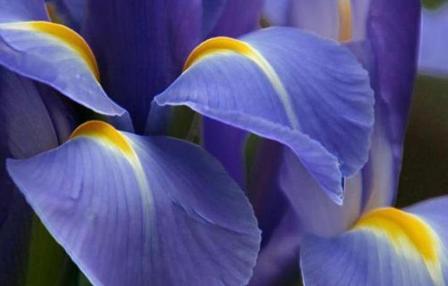 Екатерина С