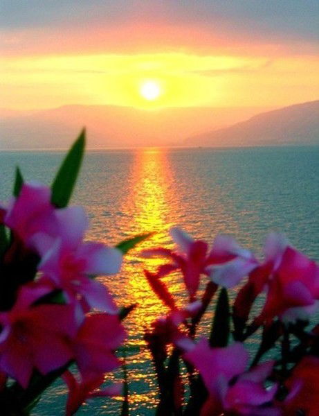 Лена Фёдорова