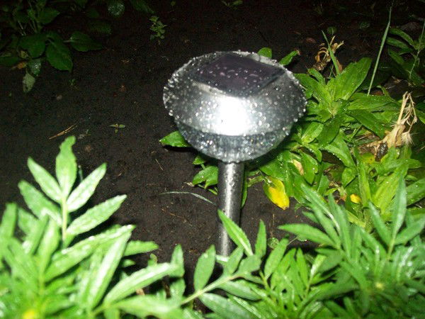 Игорь Тараев