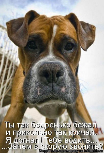 Оксана Абрамова Букеты Из Шаров